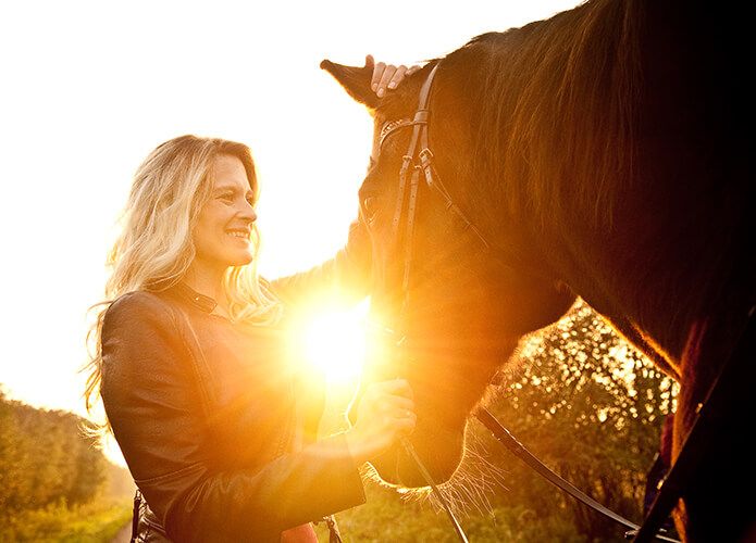 Sonnenuntergang Porträt Pferd Reiter 